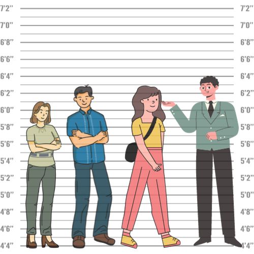 Height Comparison Chart Comparing Heights Tool