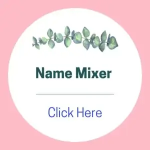 name mixer